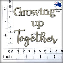 Load image into Gallery viewer, CT236 Growing up Together