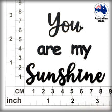 Load image into Gallery viewer, CT242 You are my Sunshine