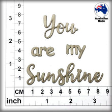 Load image into Gallery viewer, CT242 You are my Sunshine