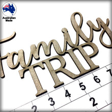 Load image into Gallery viewer, CT253 Family TRIP