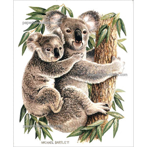 PT3418 Koalas 2 (small) - Papertole Print