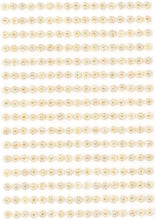 Load image into Gallery viewer, 4mm Champagne Acrylic Craft Gems