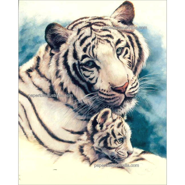 PT105 White Tiger and Cub (small) - Papertole Print