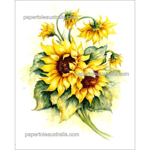 PT3195 Sunflowers by Scheewe (medium) - Papertole Print