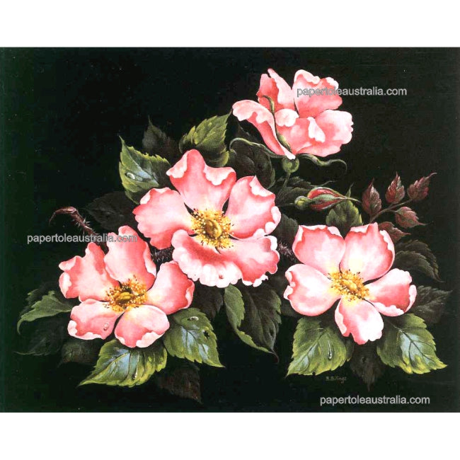 PT109 Wild Roses Pink (small) - Papertole Print