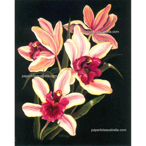 PT3226 Orchids Delight (medium) - Papertole Print
