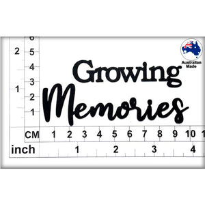 CT235 Growing Memories