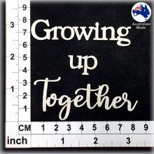 Load image into Gallery viewer, CT236 Growing up Together
