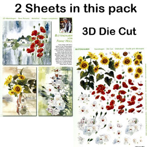 3D83852 Die Cut -  2 Sheets- Flowers with Scenes 2