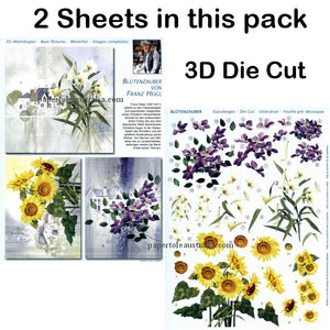 3D83854 Die Cut -  2 Sheets- Flowers with Scenes