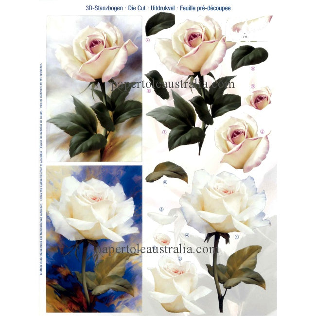 3D83875 Die Cut - Single Cream Roses