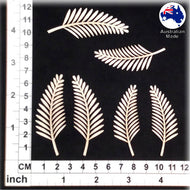 CB1155 Ferns 01