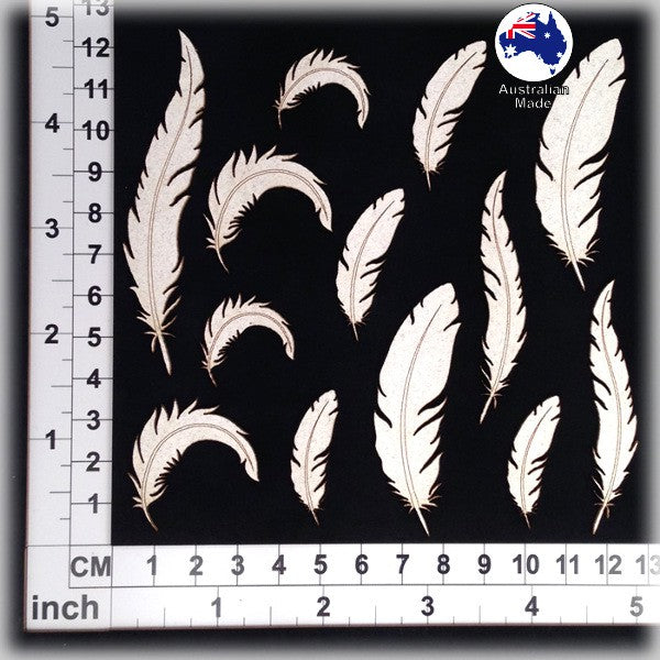 CB1222 Feathers 02