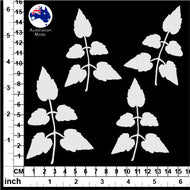 CB5087 Leaf Spray 09