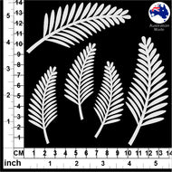 CB5089 Ferns 02