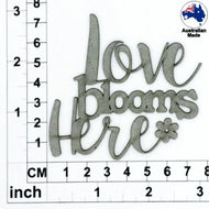 CT005 Love Blooms Here