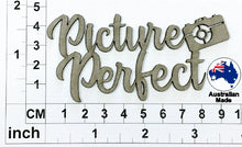 Load image into Gallery viewer, CT041 Picture Perfect
