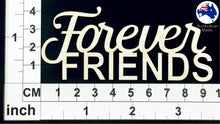 Load image into Gallery viewer, CT051 Forever Friends
