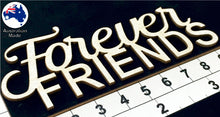 Load image into Gallery viewer, CT051 Forever Friends
