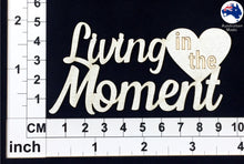 Load image into Gallery viewer, CT080 Living in the Moment
