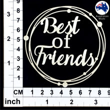 Load image into Gallery viewer, CT094 Best of Friends
