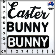 Load image into Gallery viewer, CT138 Easter BUNNY
