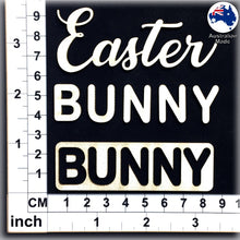 Load image into Gallery viewer, CT138 Easter BUNNY
