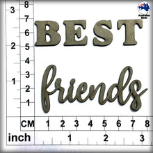Load image into Gallery viewer, CT164 Best Friends
