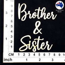 Load image into Gallery viewer, CT195 Brother &amp; Sister
