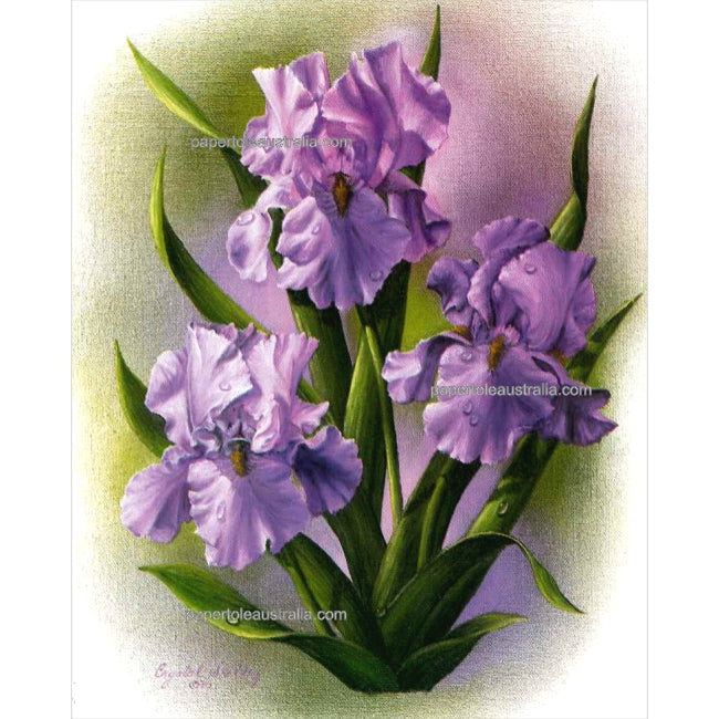 PT3387 Irises Purple (small) - Papertole Print