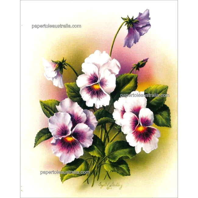 PT3351 Pansies to the Right (small) - Papertole Print