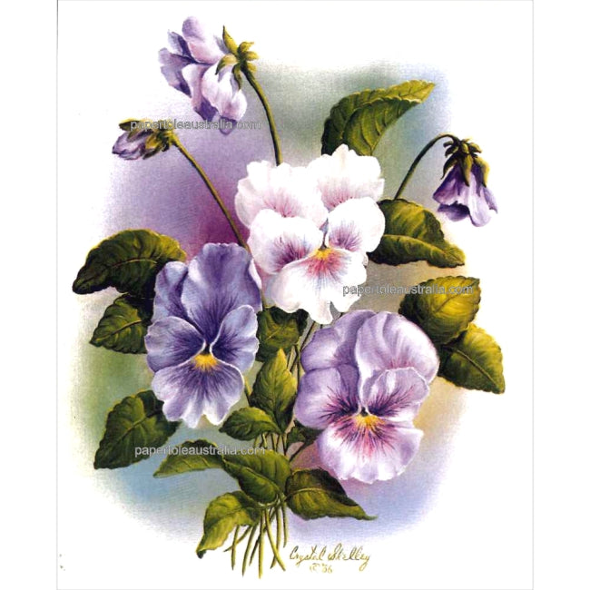 PT3191 Pansies to the Left (small) - Papertole Print
