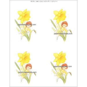 PT5003 Blossom Tops - Daffodil Papertole Print