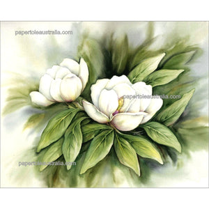 PT3240 White Magnolias (medium) - Papertole Print