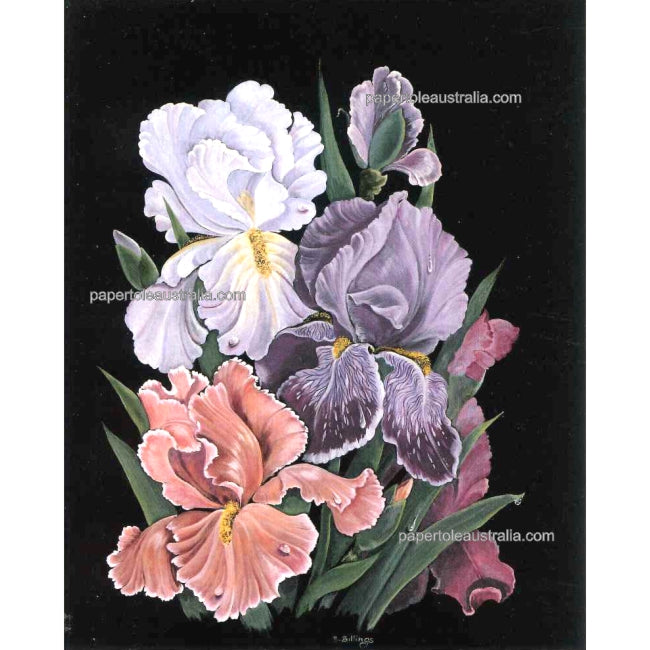 PT3403 Iris Bouquet (small) - Papertole Print