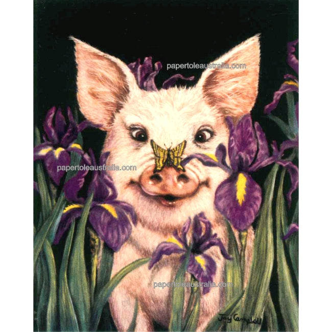 PT113 Pig in Irises (small) - Papertole Print